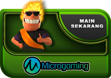 Micro Gaming